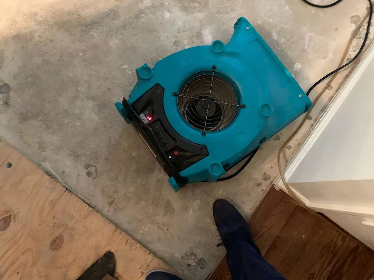 Air mover drying subfloor during Commercial Water Damage Restoration in Sullivan